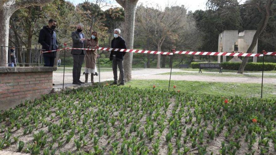 Una alfombra de 3.900 rosales adornará el nuevo Parque Grande de Zaragoza