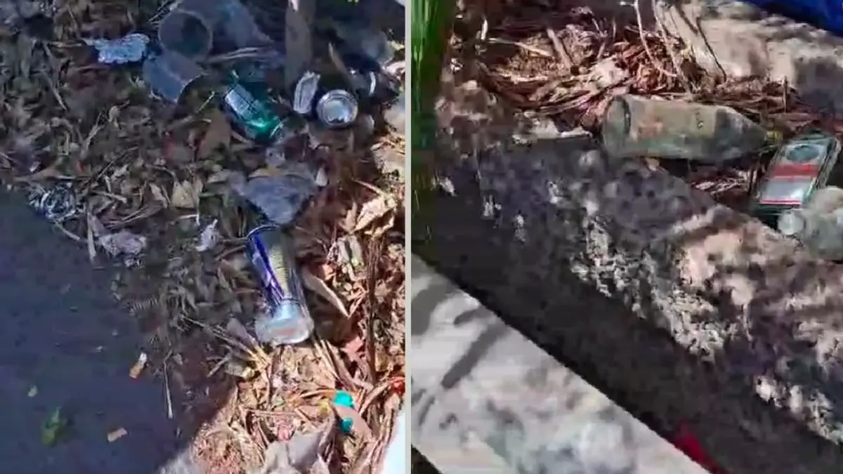 Basura en el barranco de Guiniguada