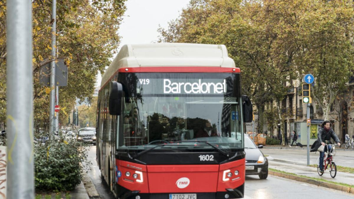 Autobús de la línea V19 circulando por el paseo de Sant Joan en sentido a la Barceloneta