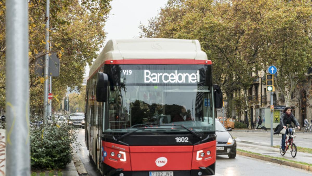 Autobús de la línia V19 circulant pel passeig de Sant Joan en sentit a la Barceloneta Autobús de la línia V19 circulant pel passeig de Sant Joan en sentit a la Barceloneta