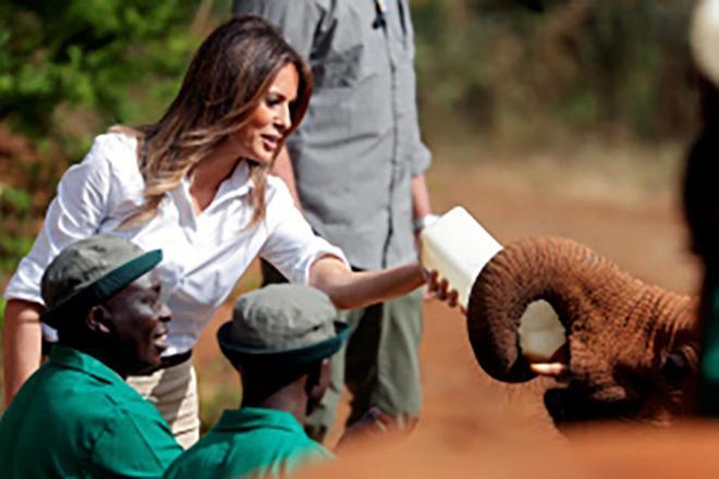 Melania Trump le da el biberón a un elefante
