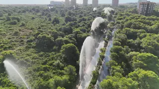Activan los cañones de agua de El Saler ante el riesgo extremo de incendio