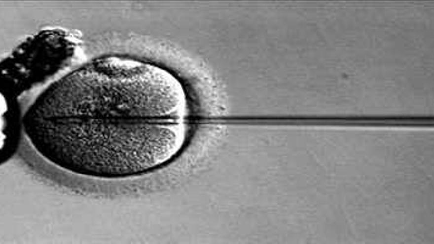 La fertilidad mejora con dieta mediterránea