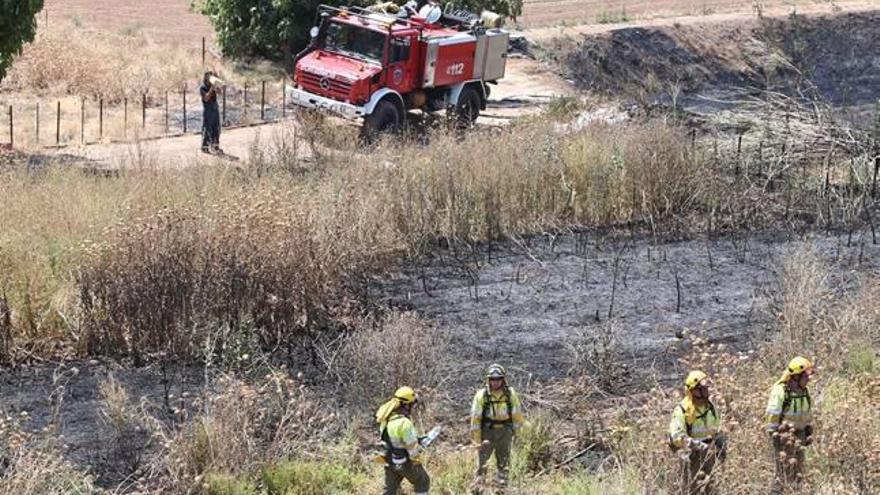 Los Bomberos revisan la zona incendiada en Cehegín.