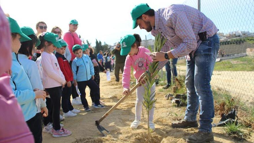 Una feria más verde