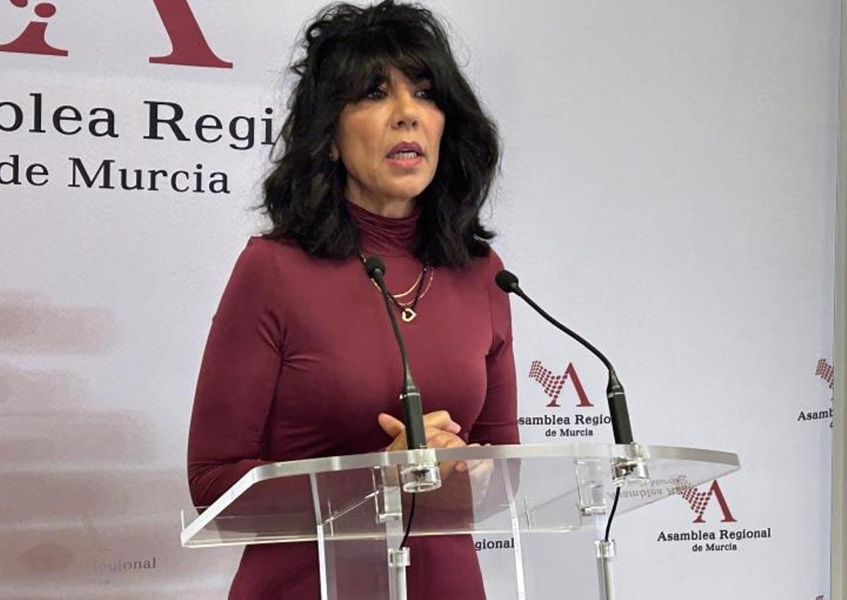 Carmen Ayala, presidenta de Alianza por el Turismo, durante su comparecencia en la Asamblea.