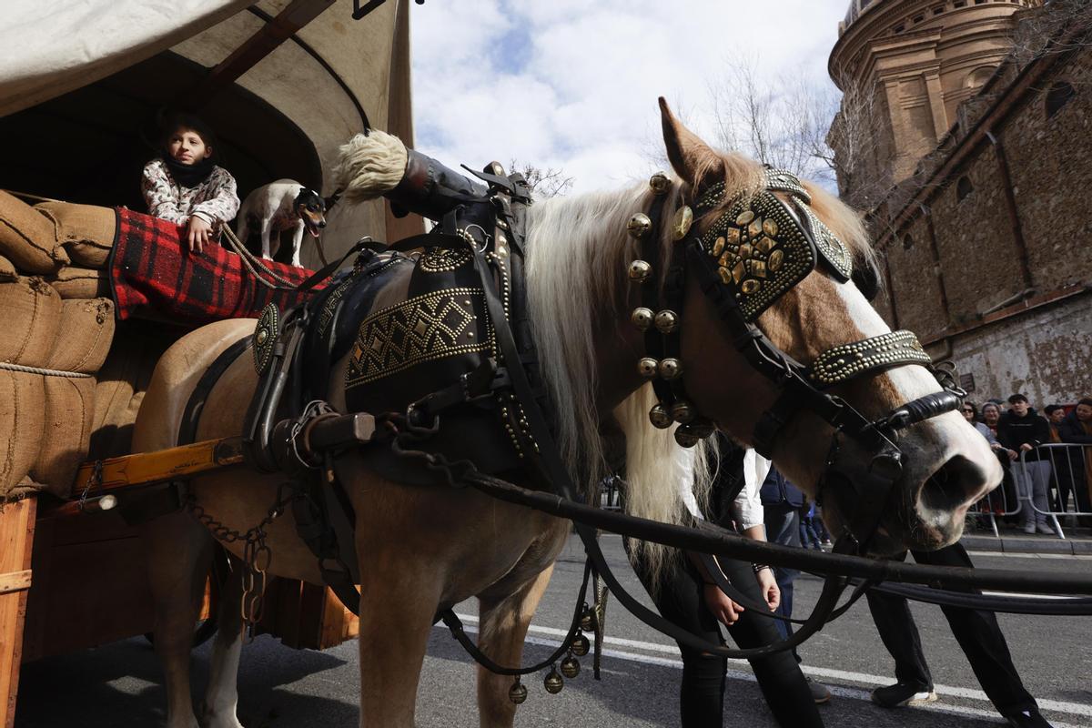 Els Tres Tombs de Sant Andreu de Palomar