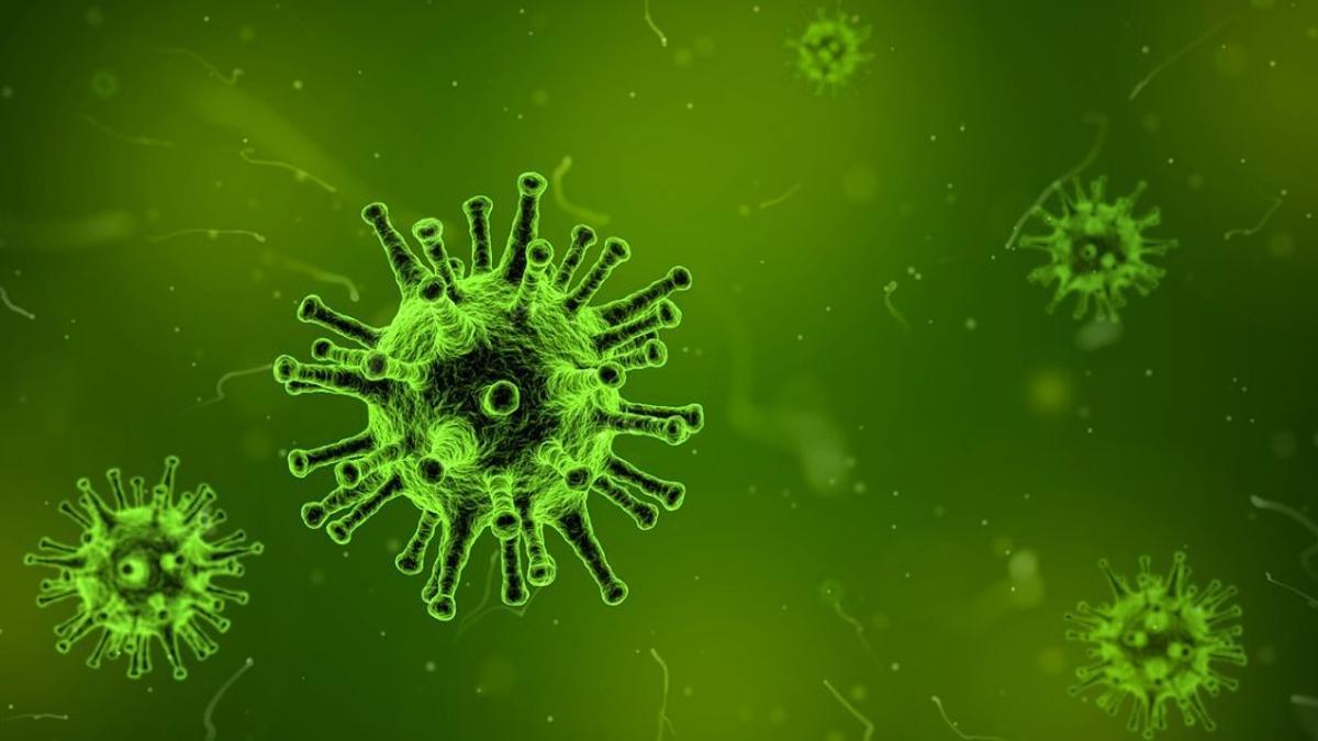 Una nueva investigación ha detectado 111.000 genomas desconocidos de virus de ARN.