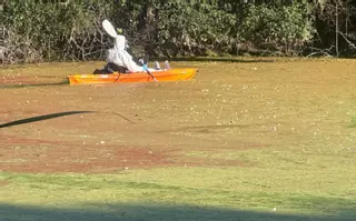 Descartan gripe aviar y mosquito del Nilo en la laguna de Massó