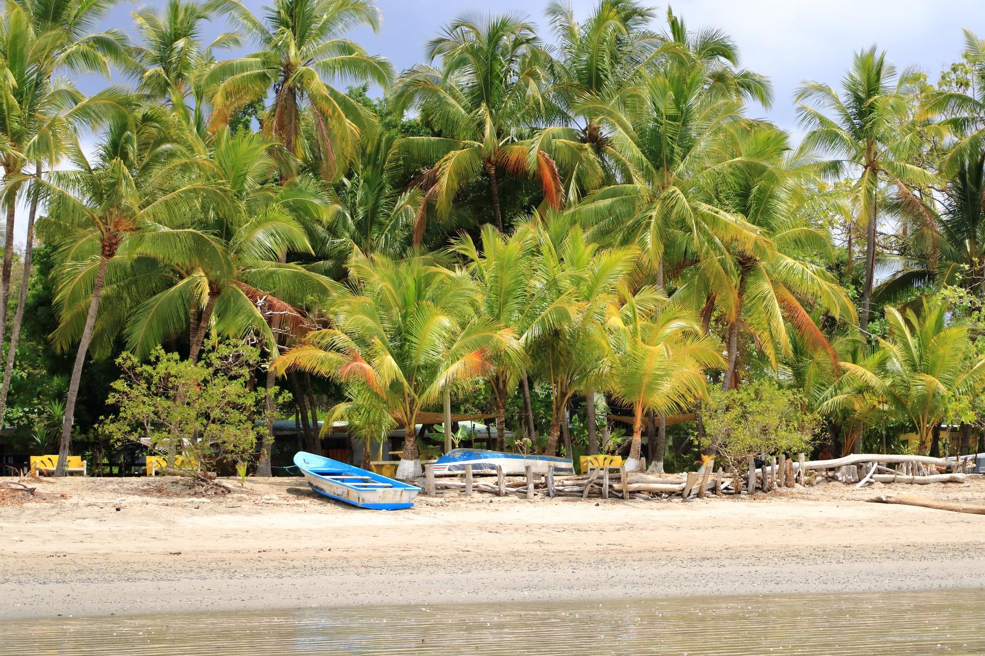 Playa de Puerto Carrillo, en la península de Nicoya, una de las 'blue zones'