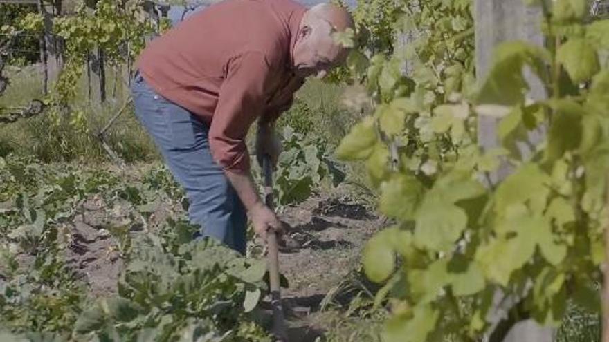 Juan Otero, el concejal del Rural, aparece trabajando su huerto.