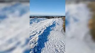El mar queda totalmente congelado en la Patagonia debido a las bajas temperaturas