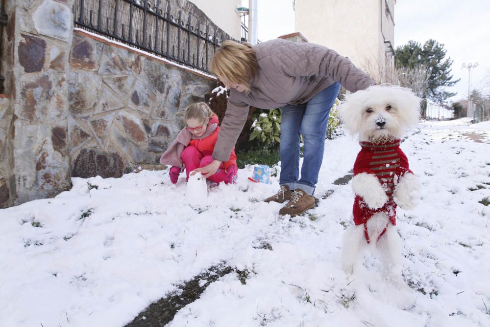 Imatge de la nevada a Sant Hilari Sacalm