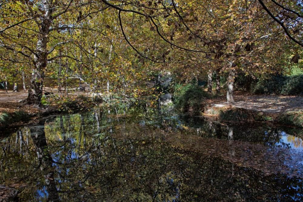 Fuentes del Marques: El otoño nace en Caravaca