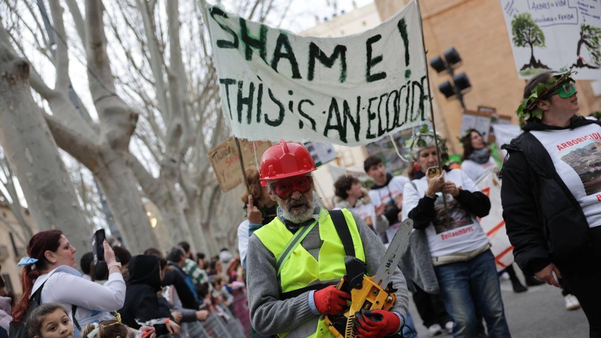 VÍDEO | El 'arboricidio' de los bellasombras se convierte en el primer protagonista de sa Rua de Palma con la comparsa 'Ciutat Verda'