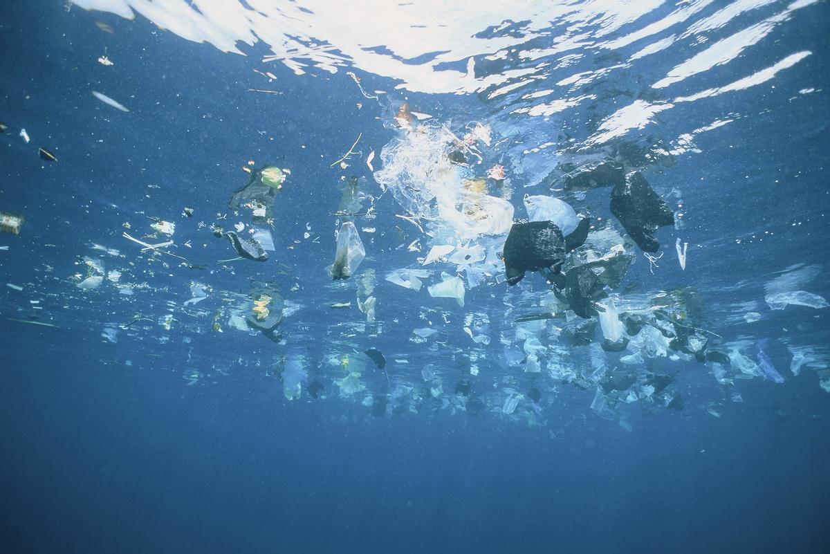Los plásticos invaden ya todos los océanos del planeta.