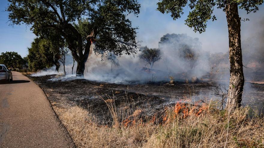 Extinguido el incendio cerca de la Dehesilla de Calamón en Badajoz