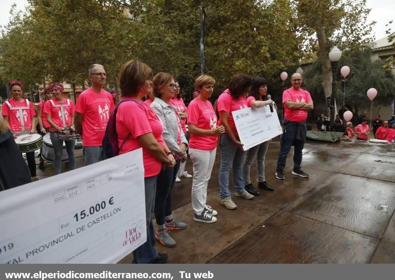 Marcha por la investigación del cáncer de mama en Castellón