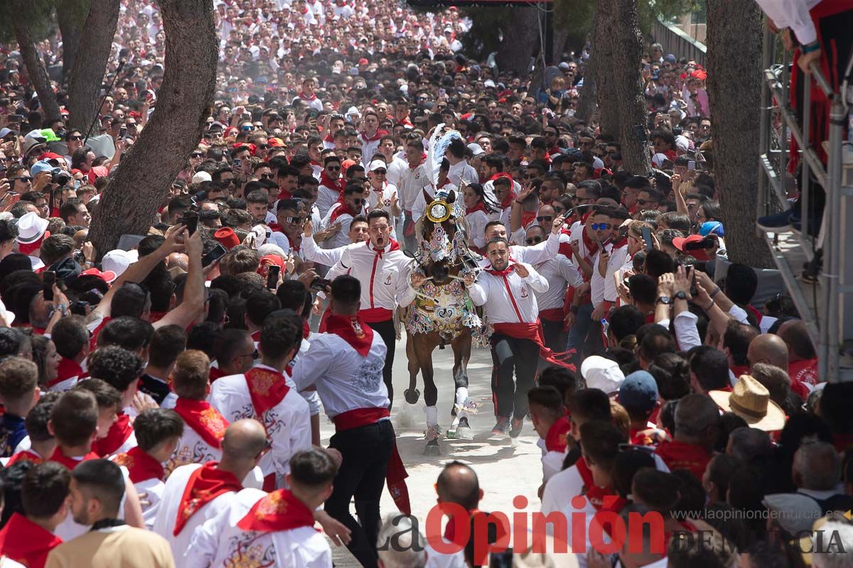 Así ha sido la carrera de los Caballos del Vino en Caravaca