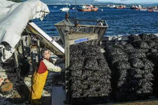 Balance 2018: La producción de mejillón vuelve a marcar registros espectaculares en Galicia