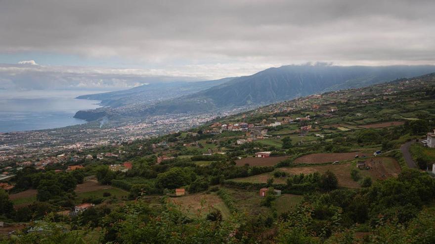 Tenerife’s El Madroño Faces Extinction as Bureaucracy Stifles Rural Life