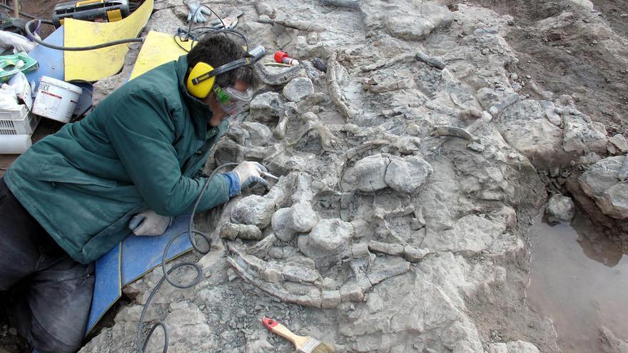 Los paleontólogos de Dinópolis describen un ejemplar de estegosaurio hallado en El Castellar (Teruel)