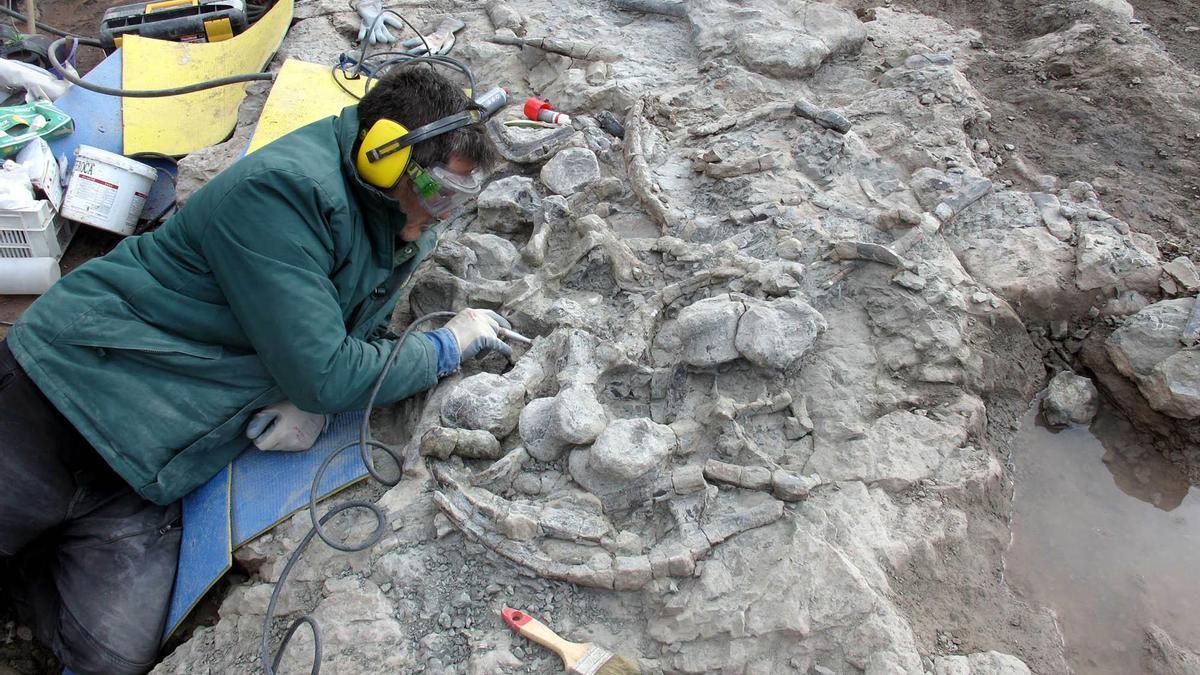Un paleontólogo de la Fundación Dinópolis durante la excavación e investigación de los fósiles.