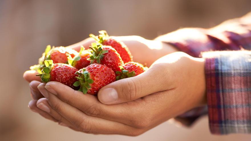 Adiós a las fresas. Los motivos por los que hay que eliminarlas