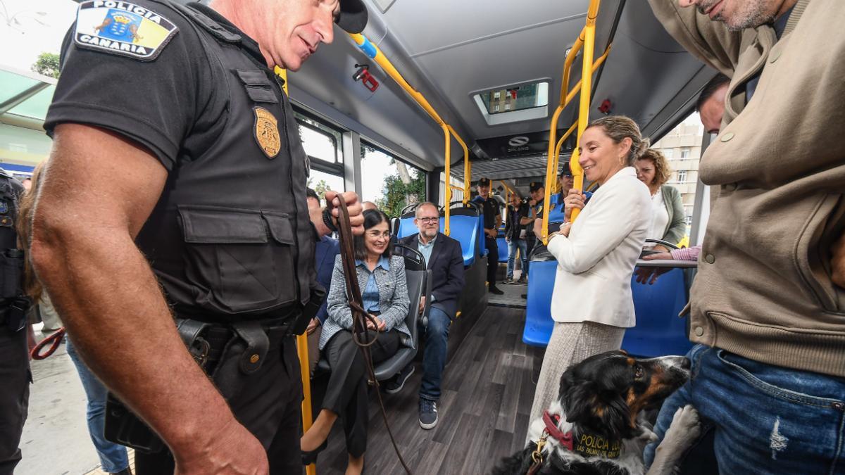 Un agente de la Policía Local, con un perro a bordo de un vehículo de Guaguas Municipales.