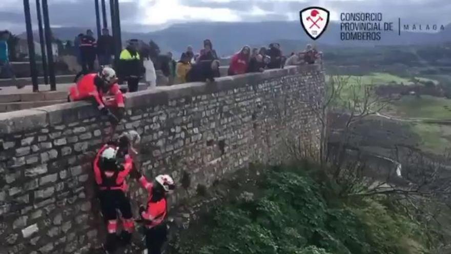 Rescatan a un perro que se cayó por el Tajo de Ronda