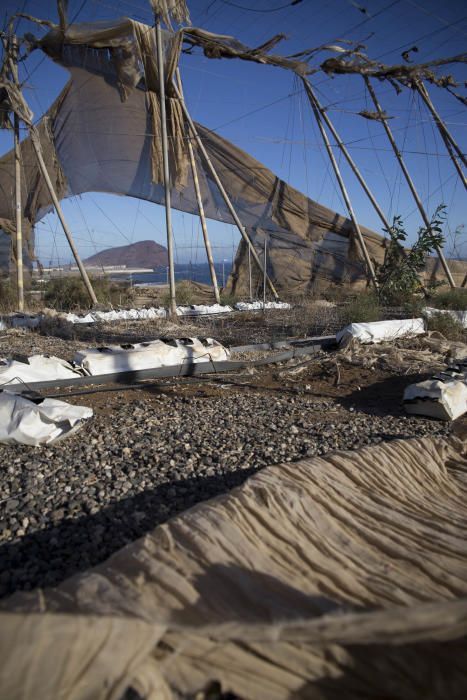 Fotos de invernaderos abandonados en el Sur de ...