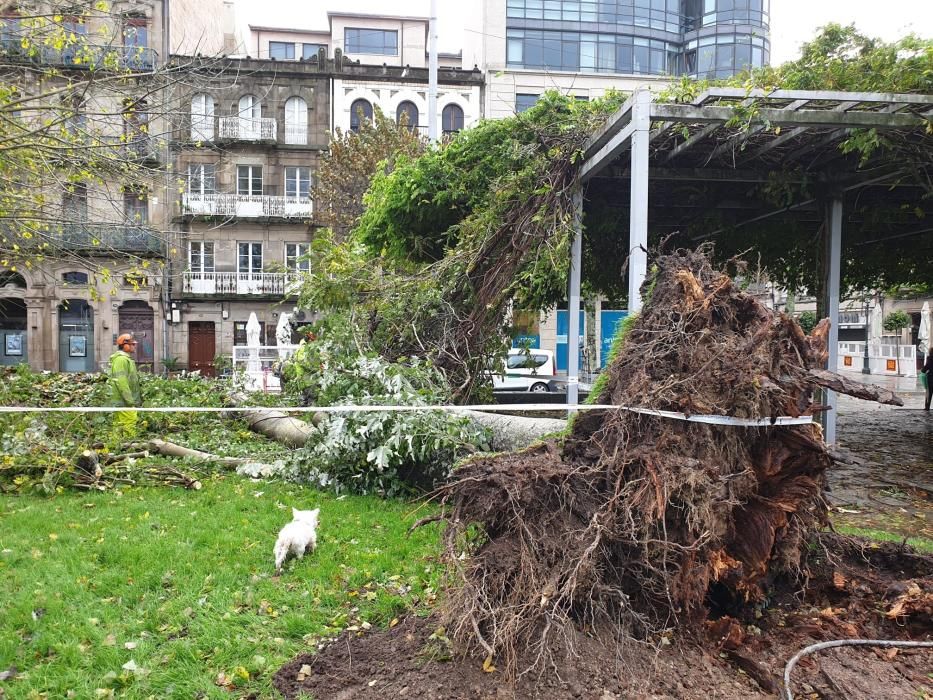 Fotos de los destrozos de la borrasca ''Cecilia''