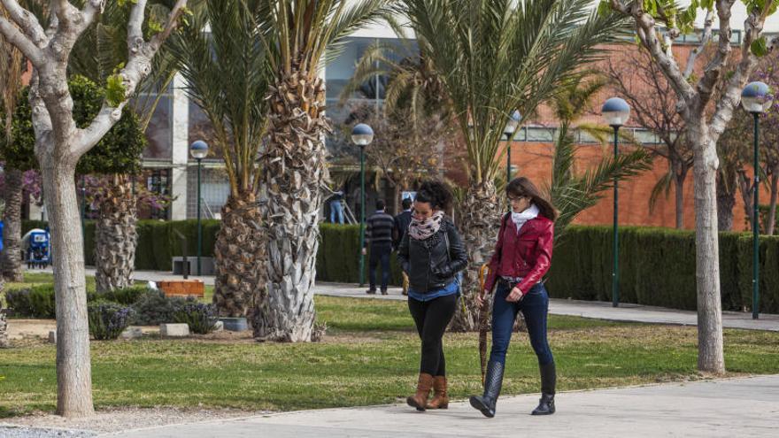 La UMH reanudará las clases mañana en todos los campus salvo en Orihuela