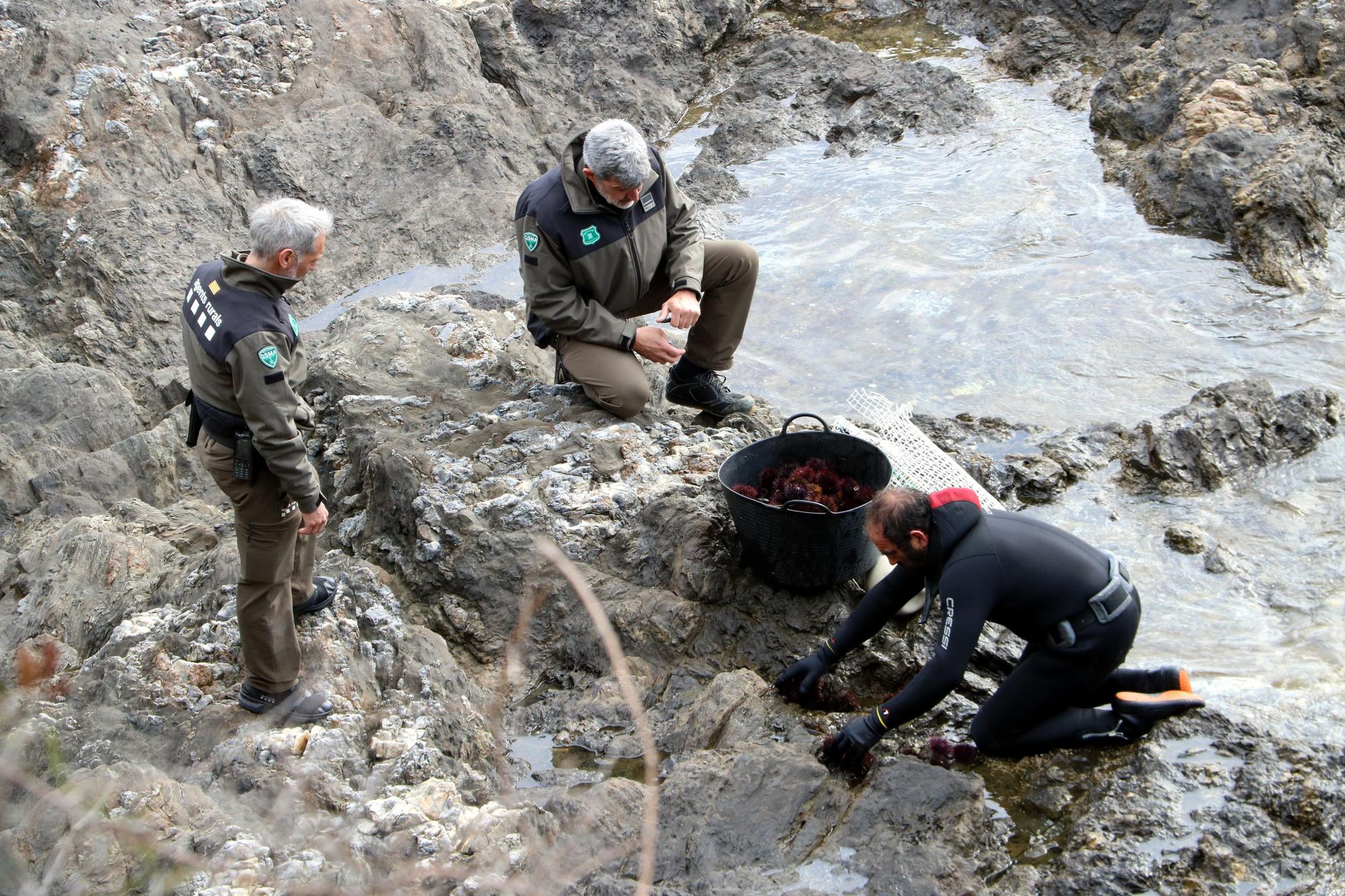 Els rurals fent un control de pesca de garotes