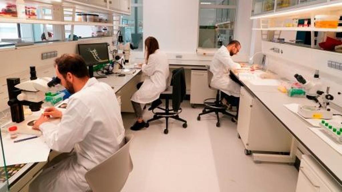 Investigadores del Oceanográfico.