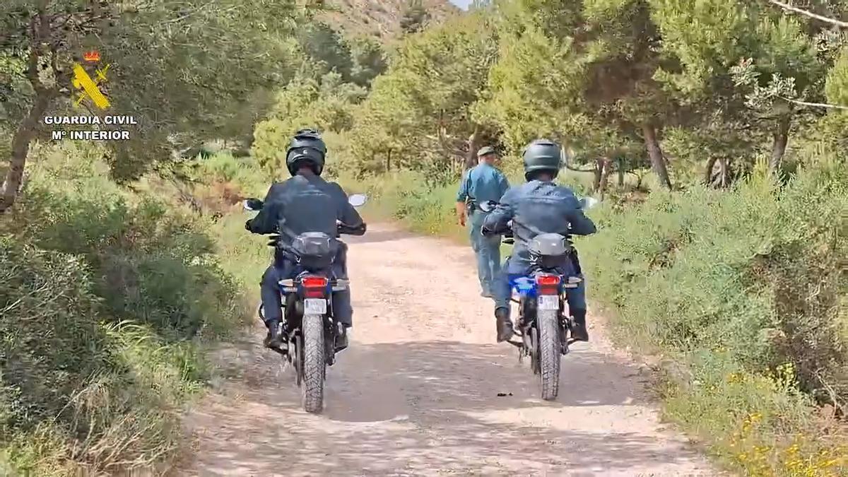 Investigado por presuntamente provocar 24 incendios forestales en la Serra Grossa de Alicante