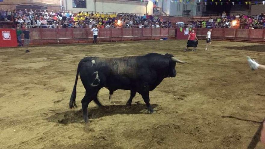 Uno de los eventos taurinos que se iba a pagar con el dinero sustraído.