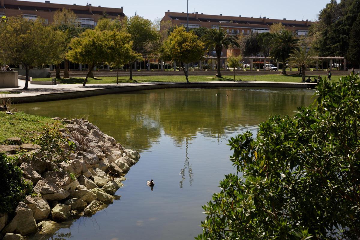 Una imatge de l'estany del parc del Migdia de Girona