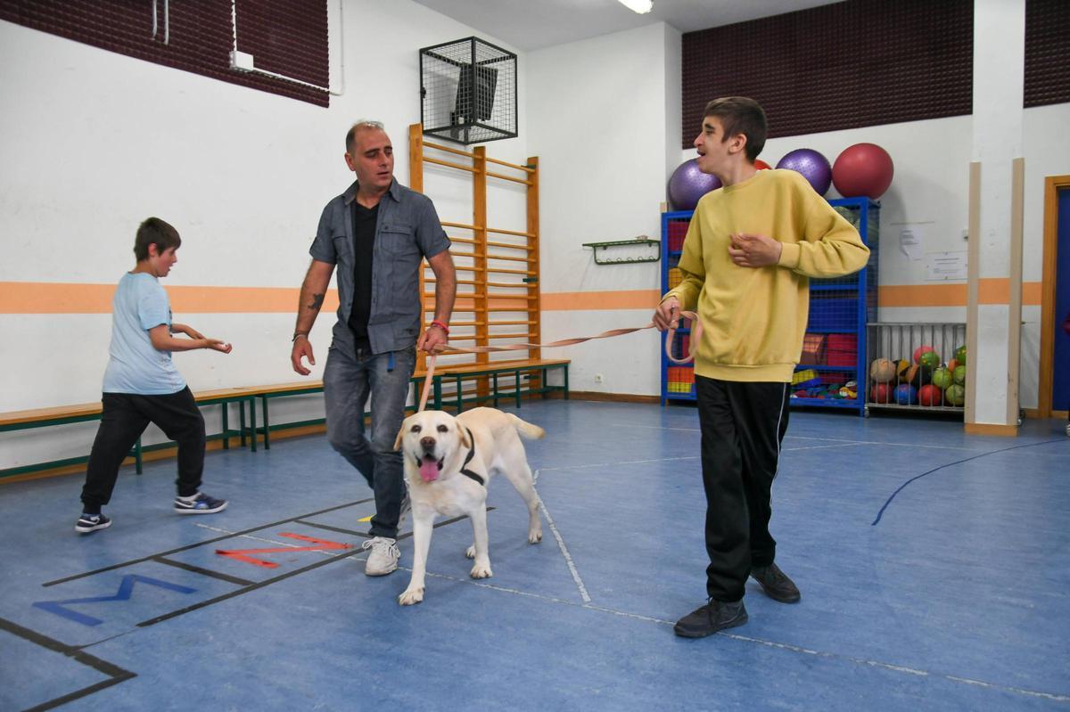 Terapia con perros en el colegio Virgen del Castillo de Zamora
