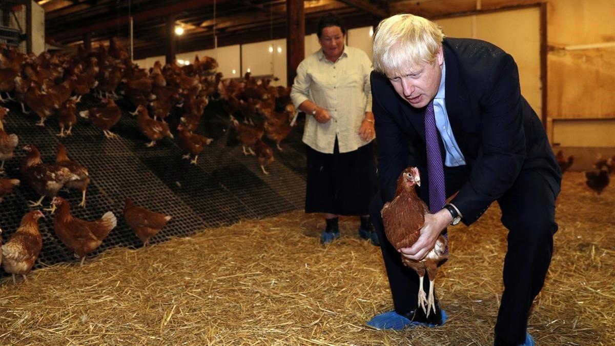 Boris Johson, ayer, en la visita a una granja de pollos en Gales.