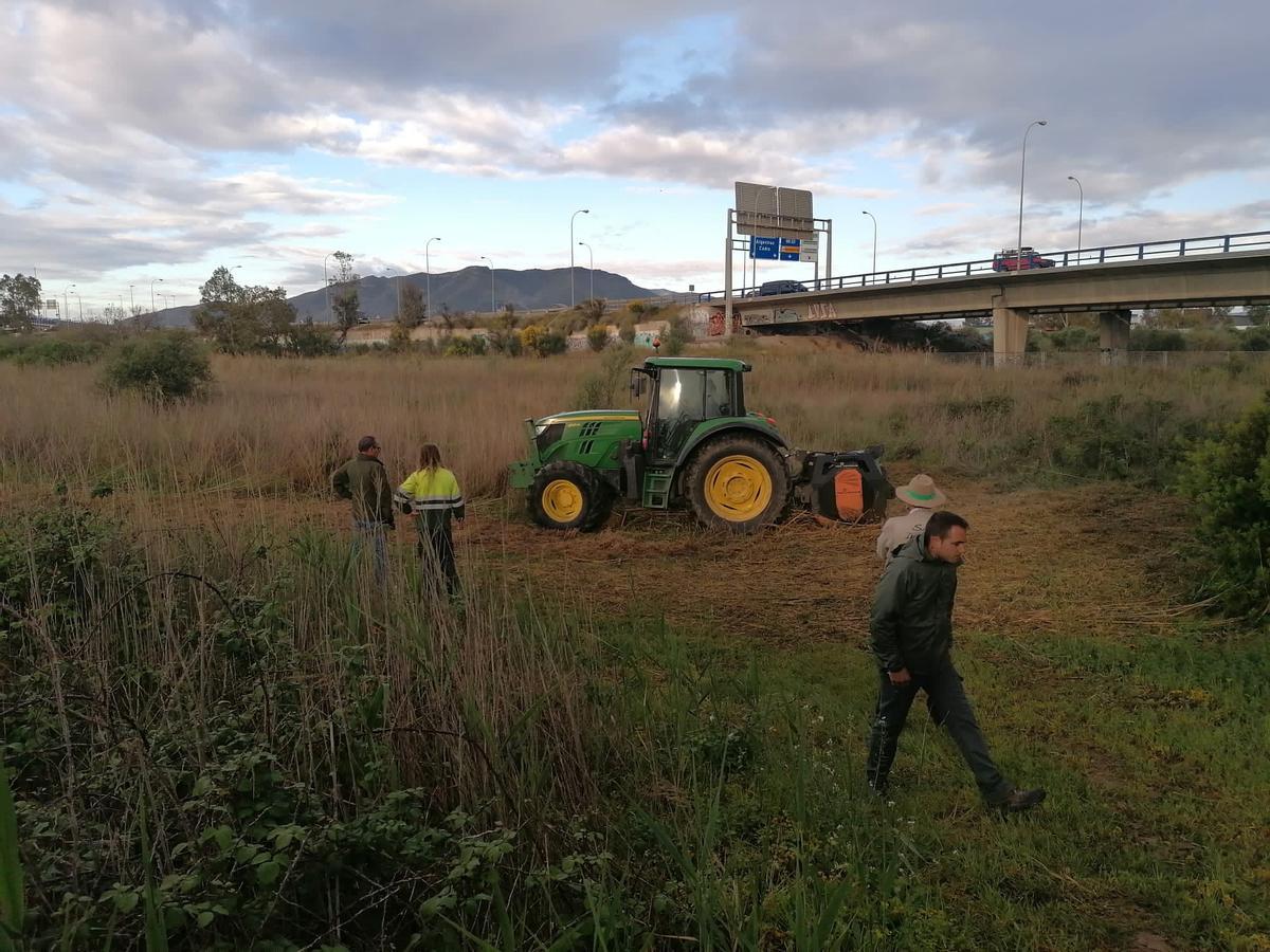 Empiezan a desbrozar en el entorno de Cerro del Villar.