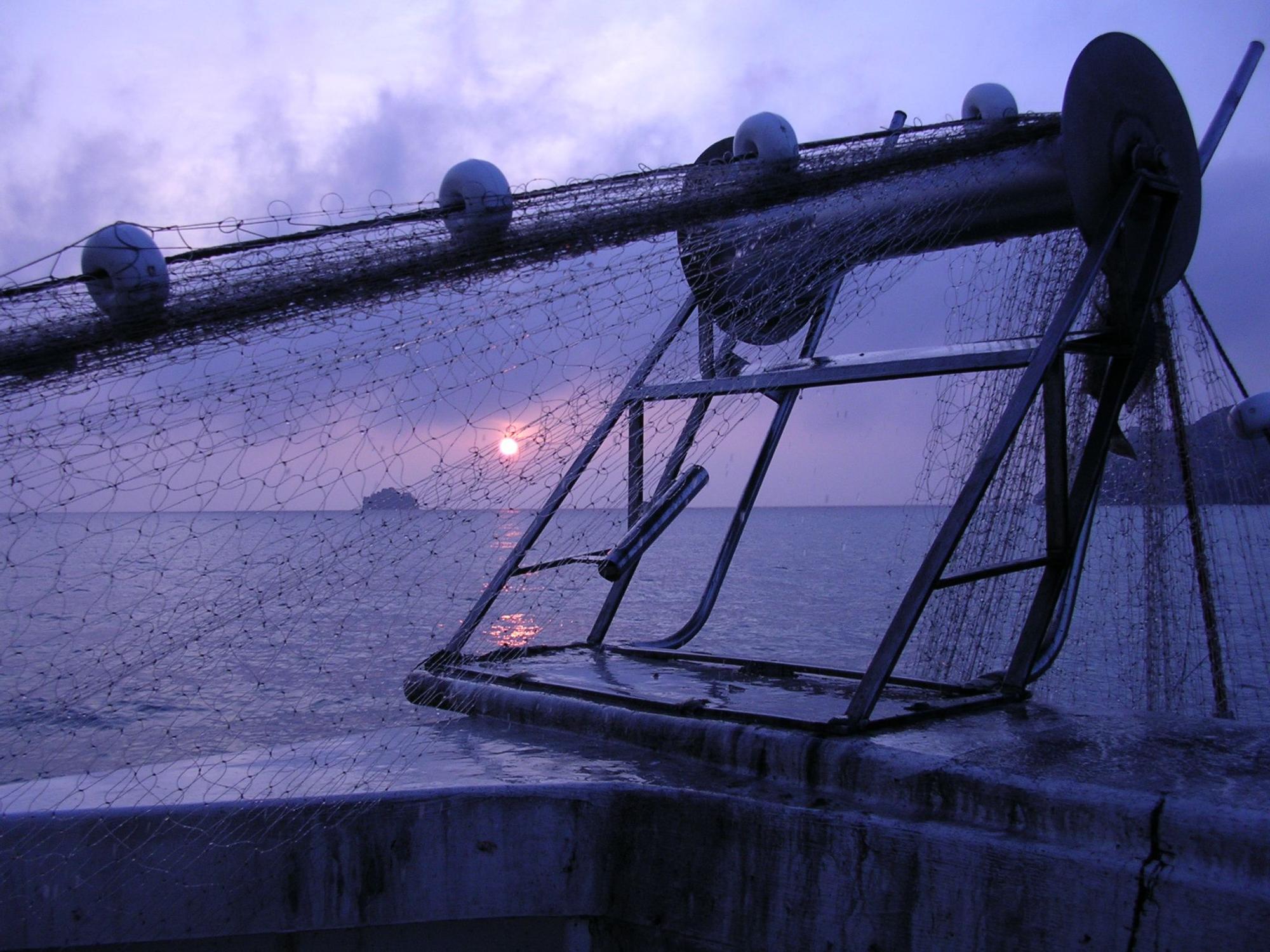 Baleares optimiza la pesca de la langosta calando la mitad de tiempo las redes