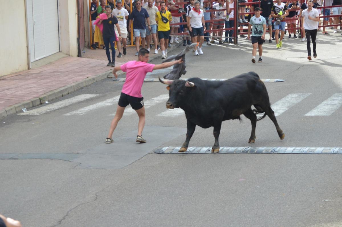 Toro del cajón de Charamandanga.