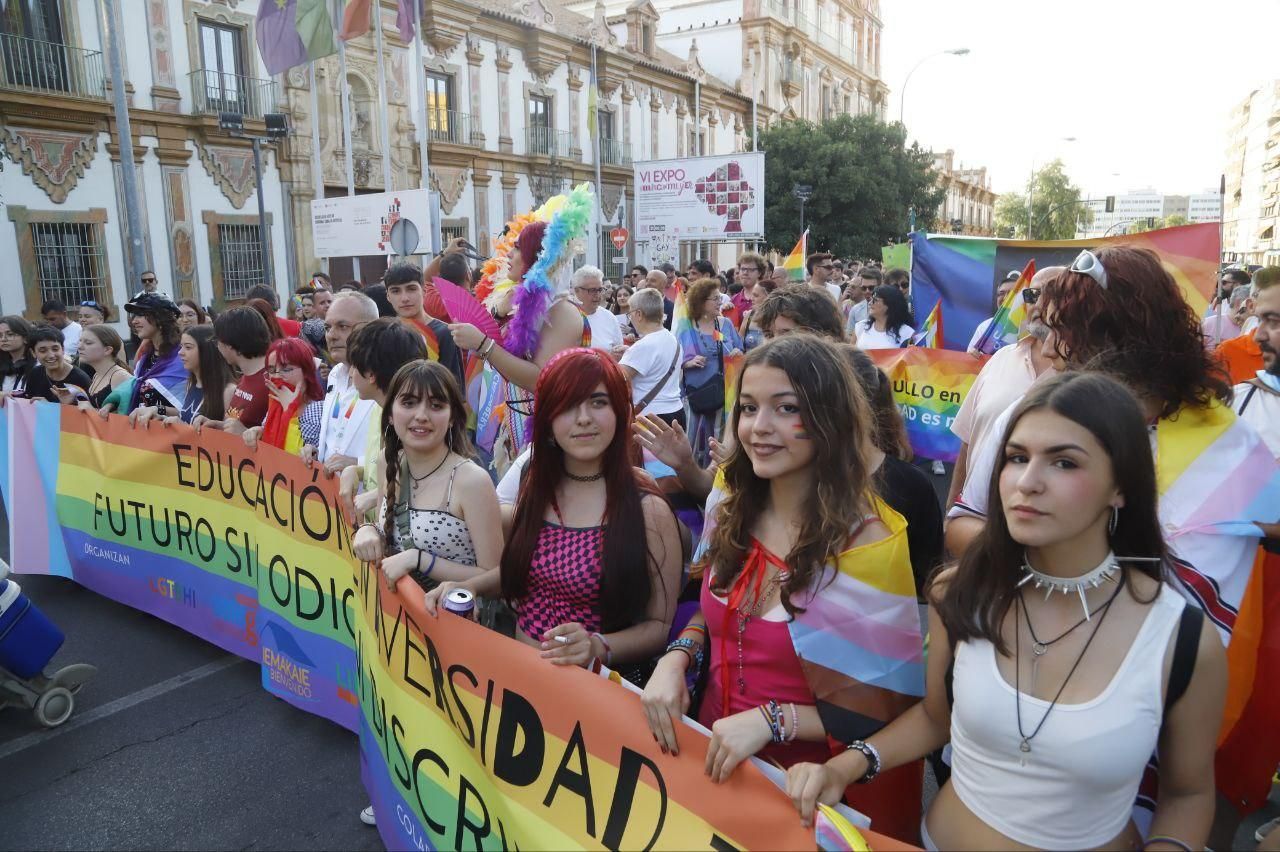 La marcha del colectivo LGTBI por Córdoba