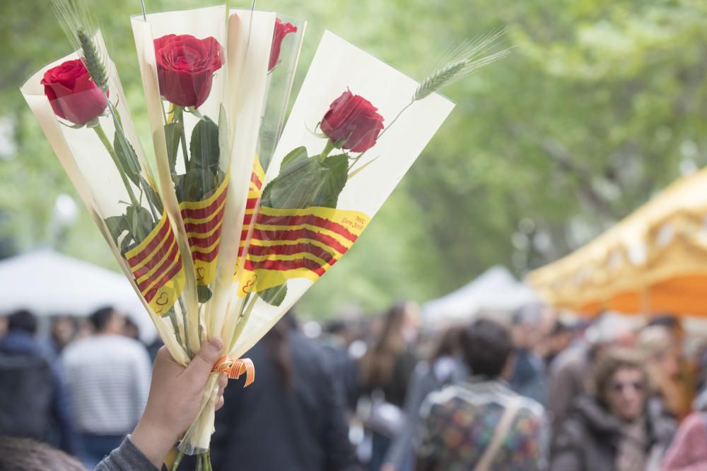 Diada de Sant Jordi a Manresa