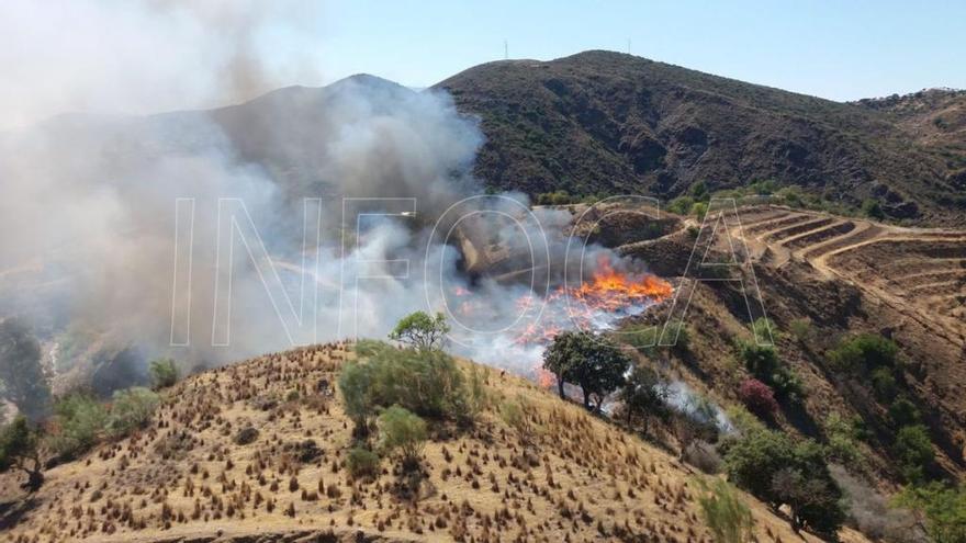 Vista del incendio junto a La Escombrera, en Coín.