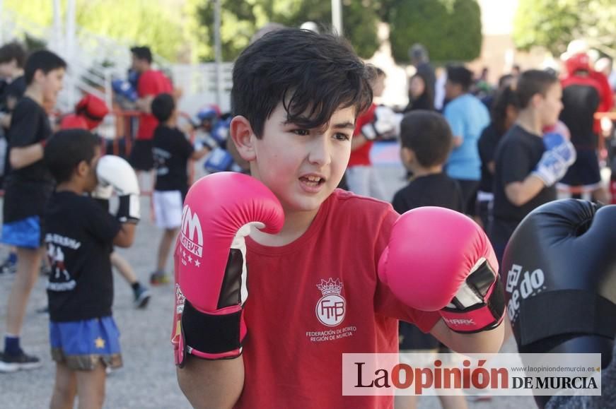 Fiesta del Deporte de Murcia (domingo)