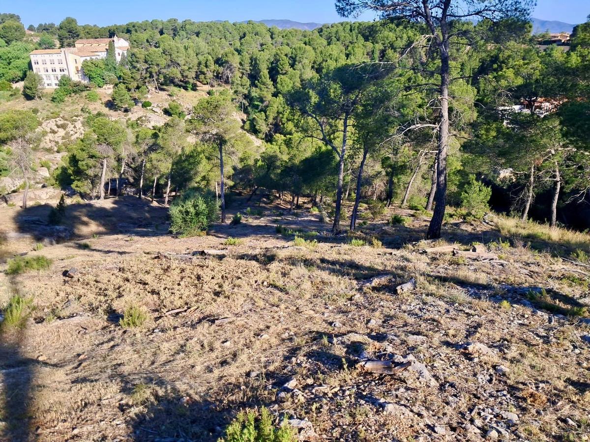 Paraje de Agullent donde se han realizado trabajos de refuerzo de la gestión forestal y la prevención de incendios.
