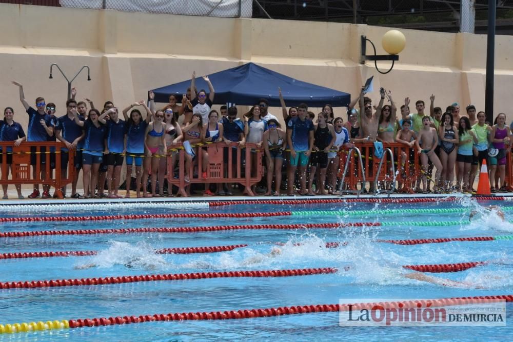 Final del Campeonato regional de natación.