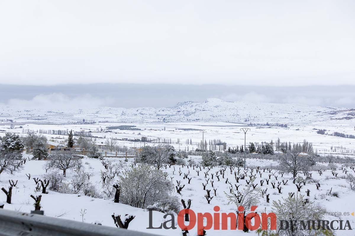 La comarca del Noroeste ofrece una estampa invernal